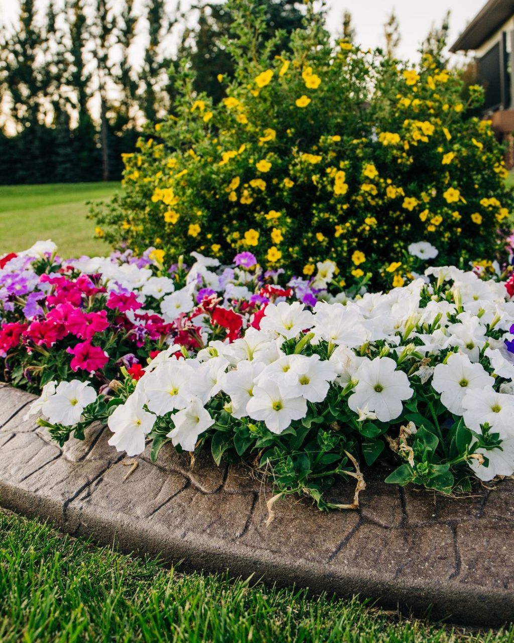 Landscape Enhancement Services