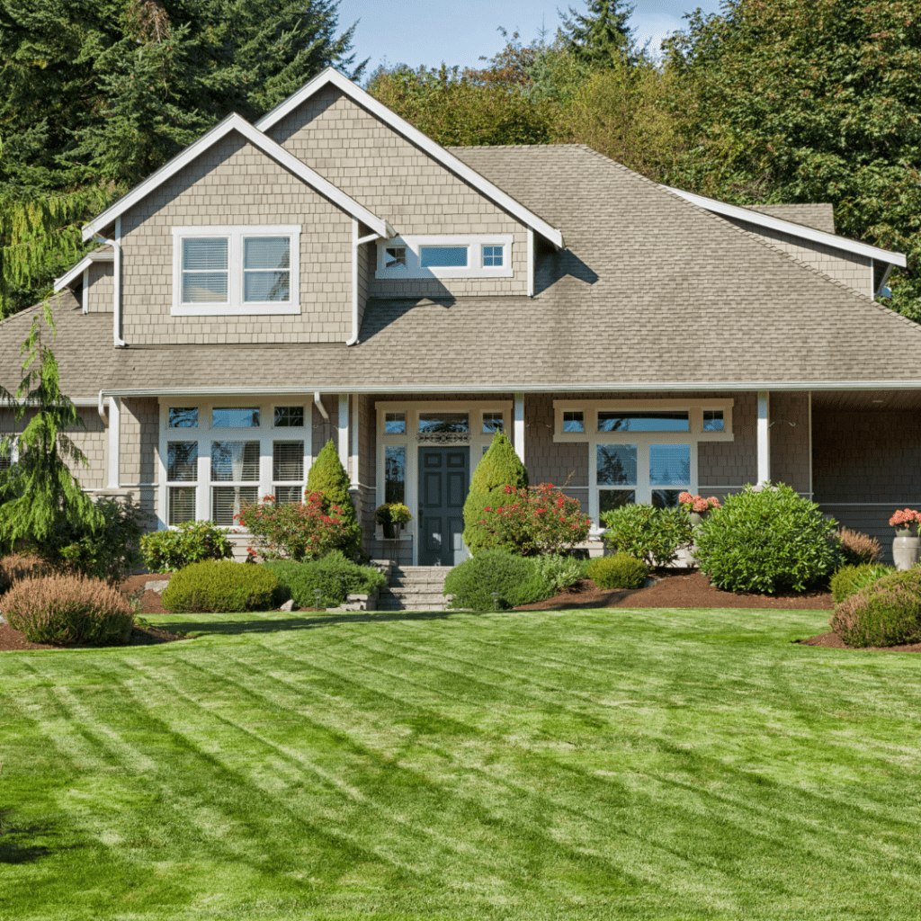 Comprehensive Lawn Maintenance