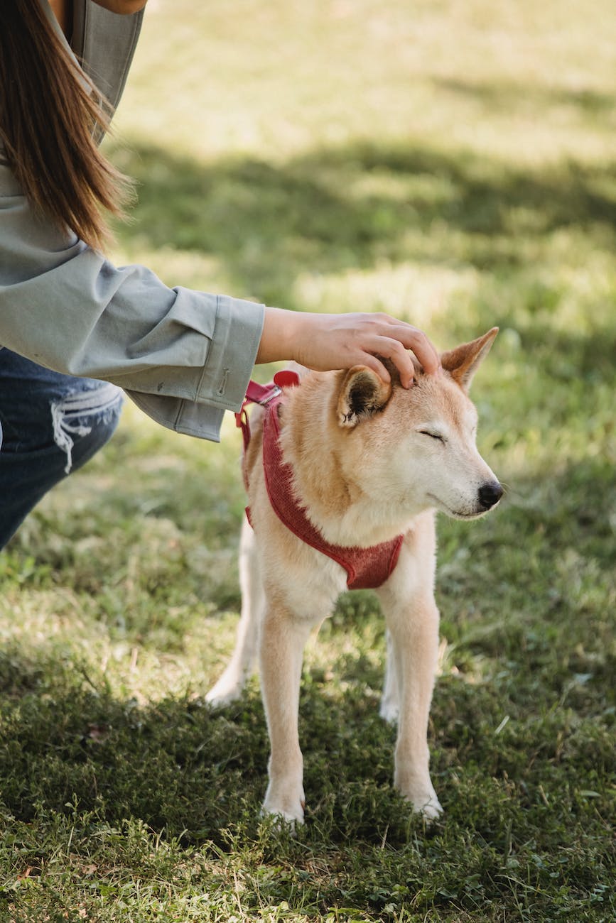 Weed Control &&nbsp;Fertilization